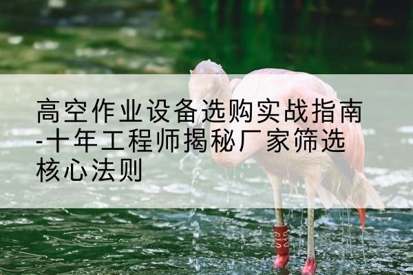 瑞安剪叉式升降机厂家-高空作业设备选购实战指南-十年工程师揭秘厂家筛选核心法则