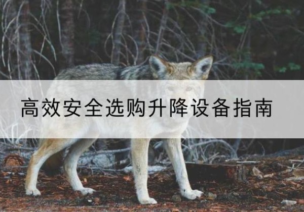 瑞安升降货梯厂家推荐-*安全选购升降设备指南