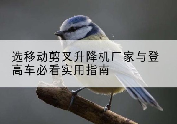 瑞安电动升降机厂家-选移动剪叉升降机厂家与登高车必看实用指南