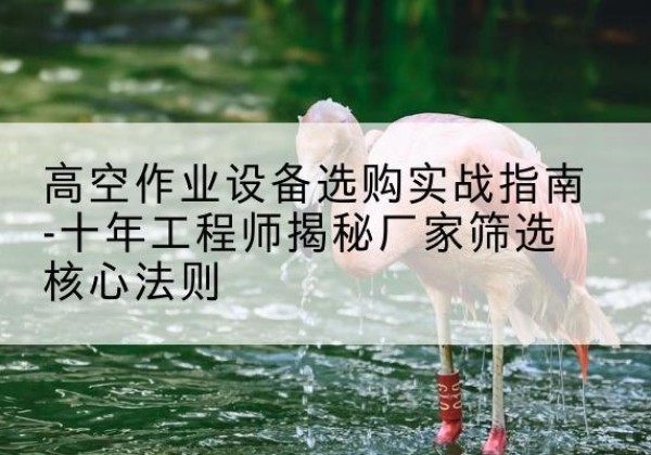 瑞安剪叉式升降机厂家-高空作业设备选购实战指南-十年工程师揭秘厂家筛选核心法则