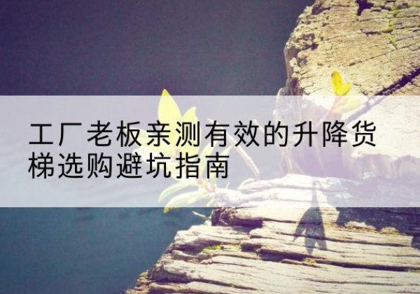 瑞安升降货梯怎么选-工厂老板亲测有效的升降货梯选购避坑指南